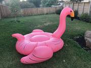 Inflatable Flamingo | Jenjo Games - Australia